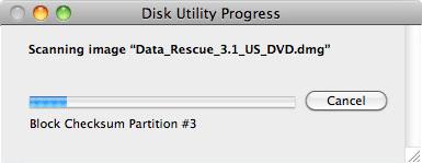 It will take several minutes to scan the DVD.dmg file, click ok when its finished.