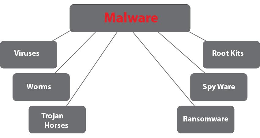 Common forms of malware.
